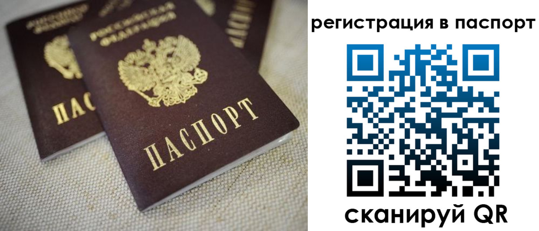 прописка гарантия в Златоусте